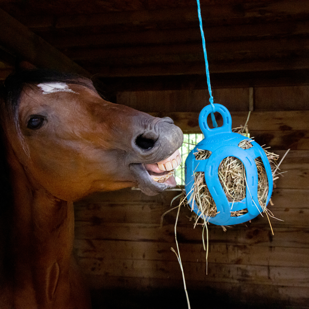 Jolly Heu Ball - blau