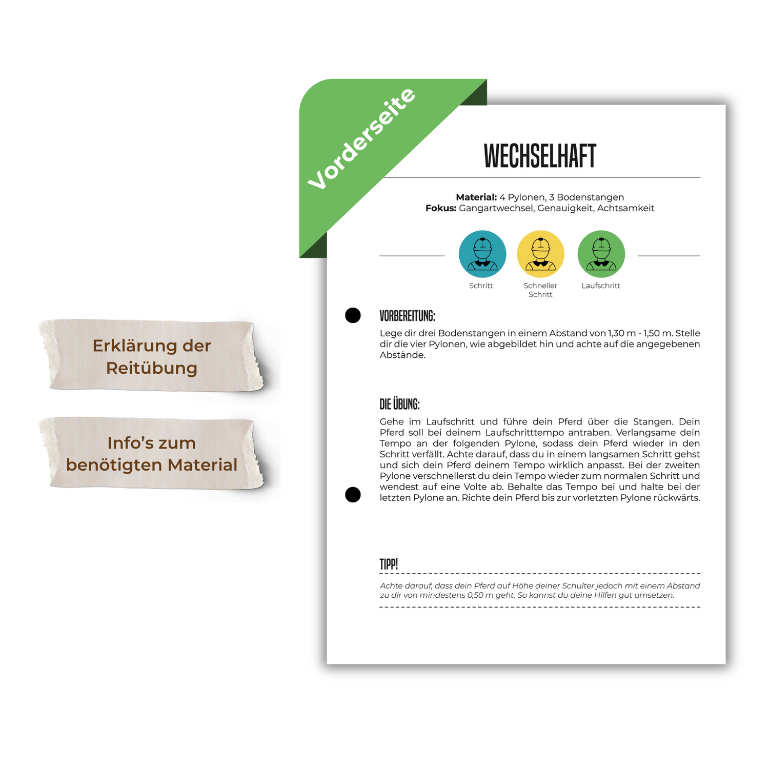 Teamwork (Bodenarbeit)