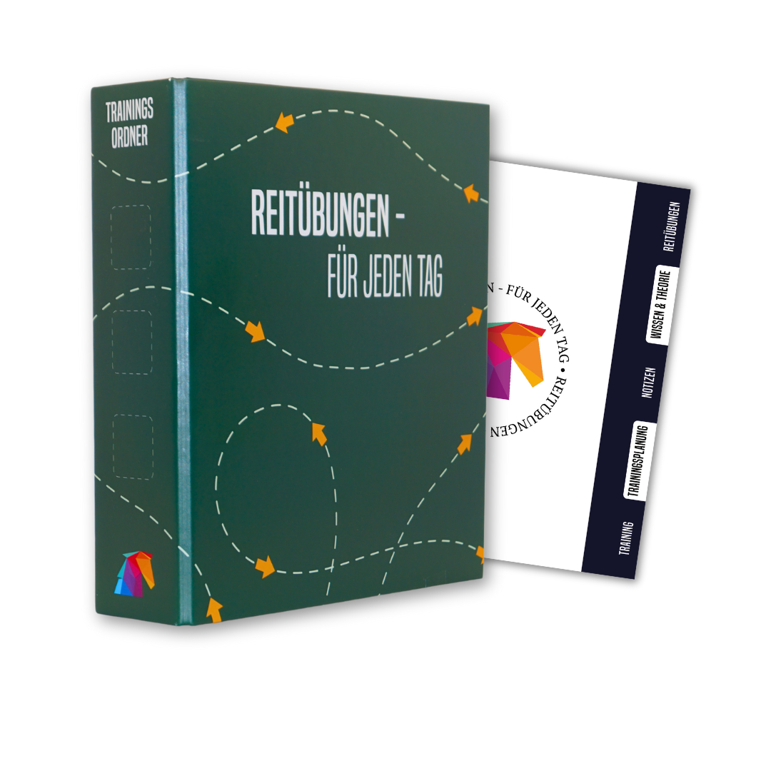 Trainingsordner - Tannengrün