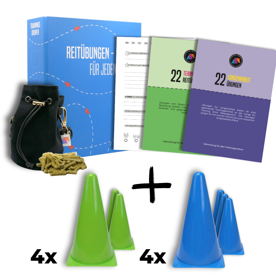 Trainingspaket: Longen & Bodenarbeit-Set