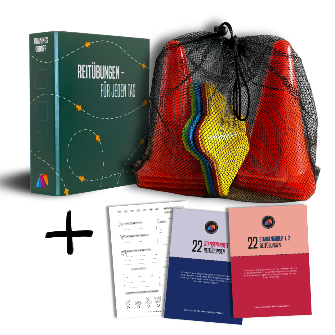 Trainingspaket: Stangenarbeit & Pylonen-Set