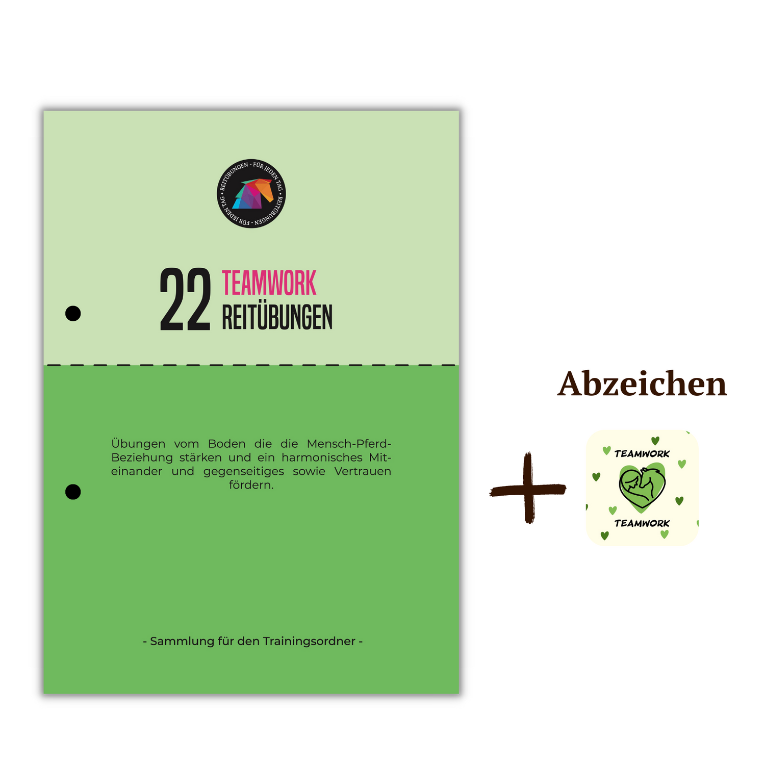 Teamwork (Bodenarbeit)