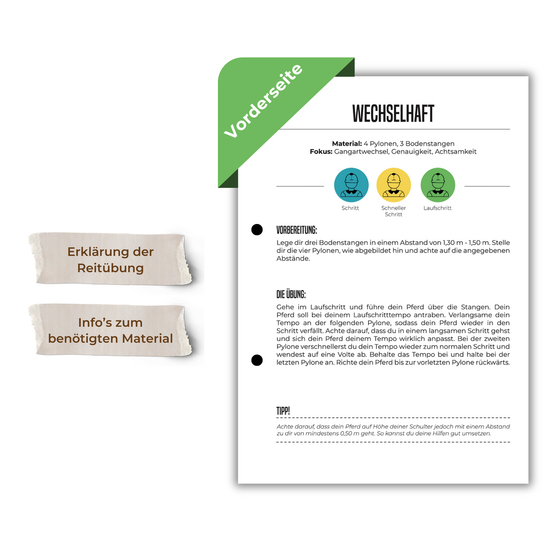 Teamwork (Bodenarbeit)