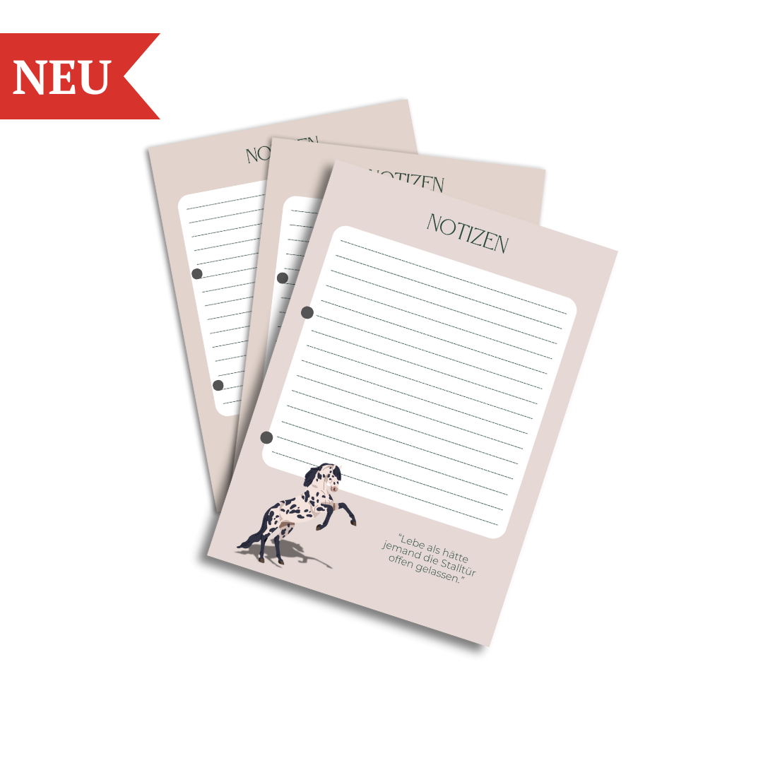 Notiz Set 
